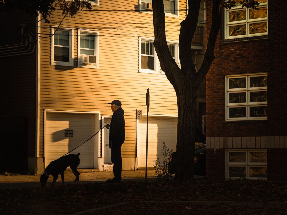A man walking his dog down a neighborhood street at dusk