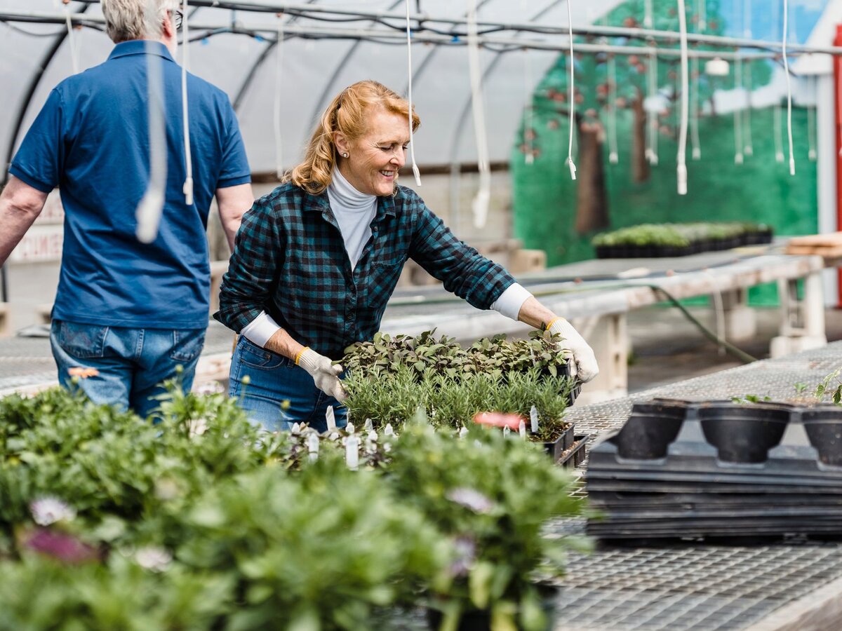 An older woman in a greenhouse carrying a tray of plants